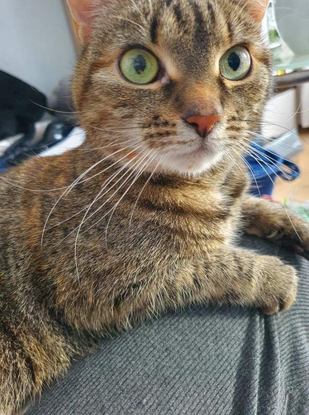 Czy te oczy mogą kłamać???