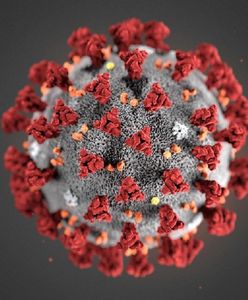 Koronawirus w Polsce. Sieradz. Nowe ognisko koronawirusa. 80 przypadków zakażenia w szpitalu. Wraca część obostrzeń