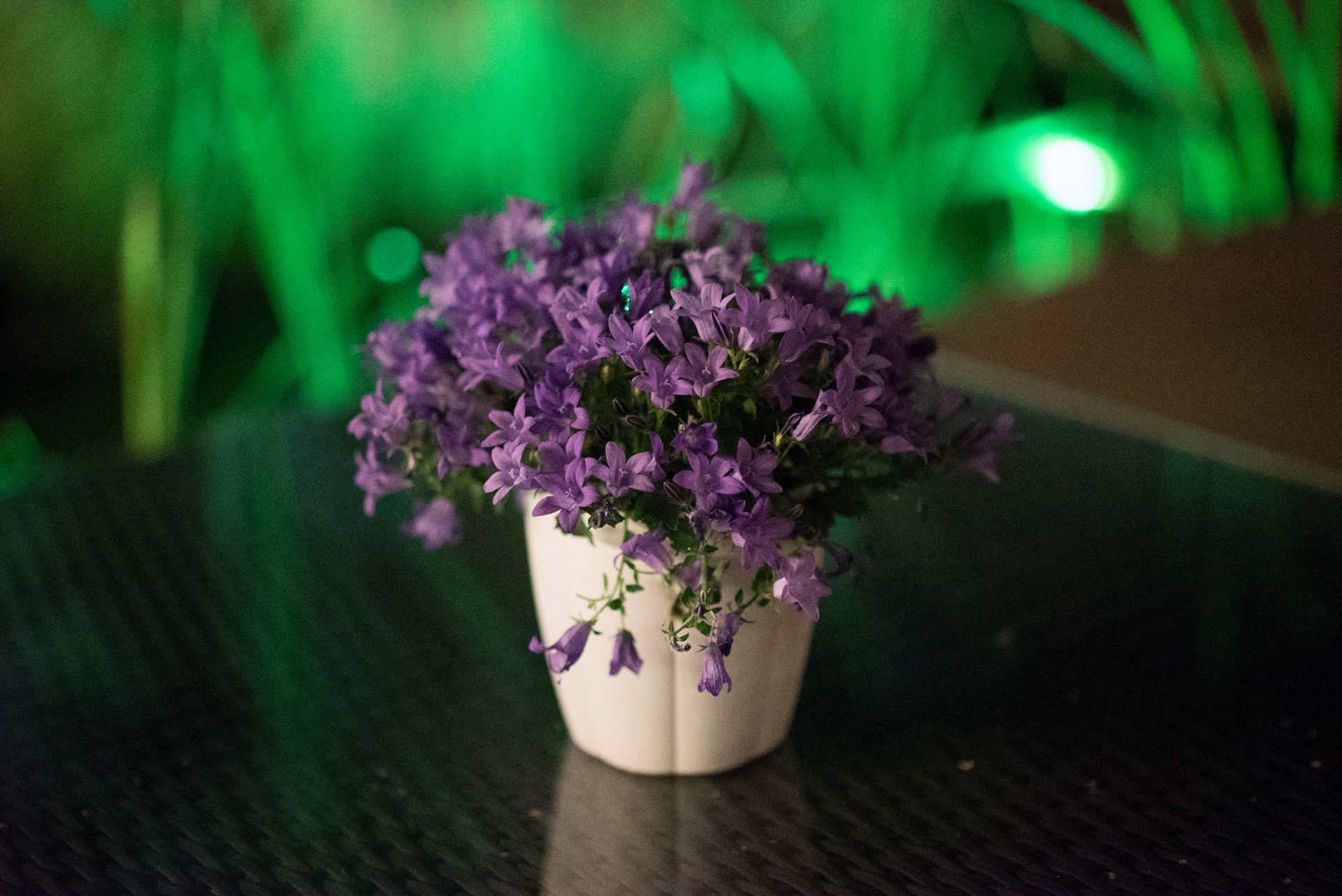 Sony A7S - zdjęcia testowe do ISO 409 600 30