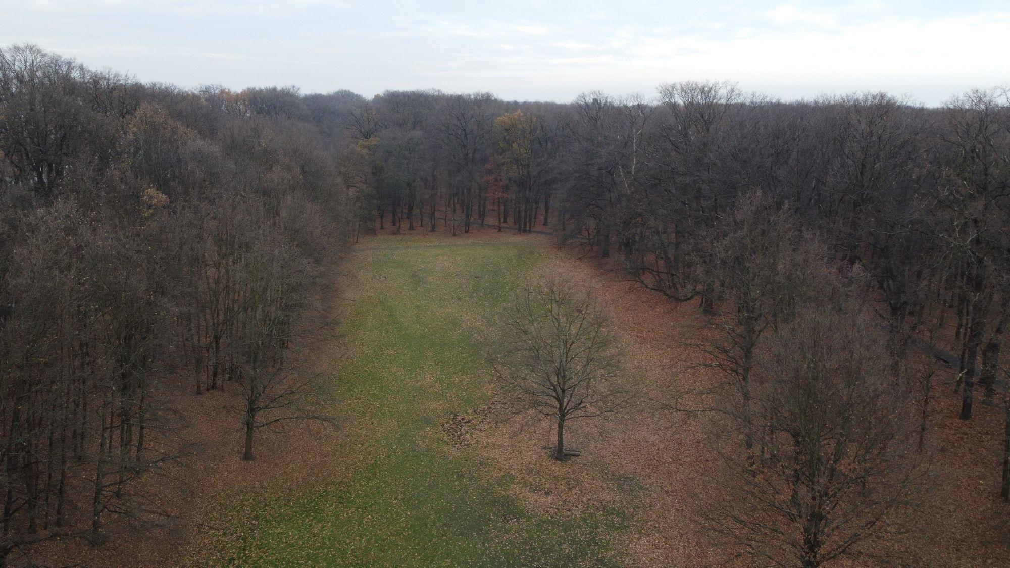 DJI Mini 2: Niech nie zwiodą cię jego rozmiary, bo umie całkiem sporo! 5