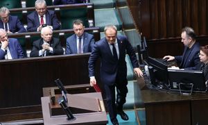 Koalicjanci Tuska poza Sejmem. Jest nowy sondaż poparcia