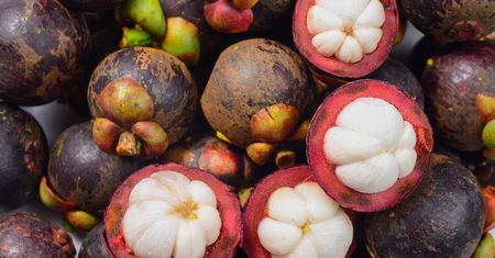 Mangostan właściwy w puszce w syropie