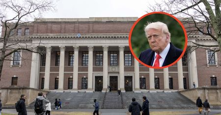 Pozew przeciwko administracji Trumpa. Reakcja Harvardu po decyzjach ws.  zagranicznych studentów