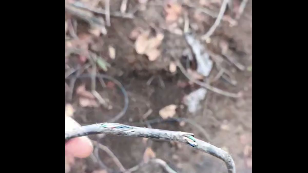 Jeden ze światłowodów pogryziony przez myszy gdzieś w Ukrainie.