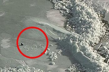 Spektakularna akcja na Bałtyku. Utknęli na dryfującej krze