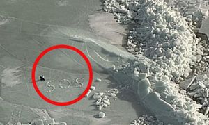 Spektakularna akcja na Bałtyku. Utknęli na dryfującej krze