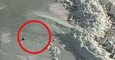 Spektakularna akcja na Bałtyku. Utknęli na dryfującej krze