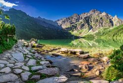 Sensacja nad Morskim Okiem. "Wychodzi spod wody i żeruje"