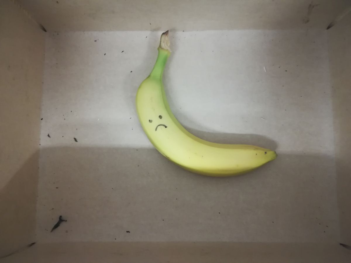  Kupuj samotne banany. Za akcją w Lidlu stoją Banki Żywności