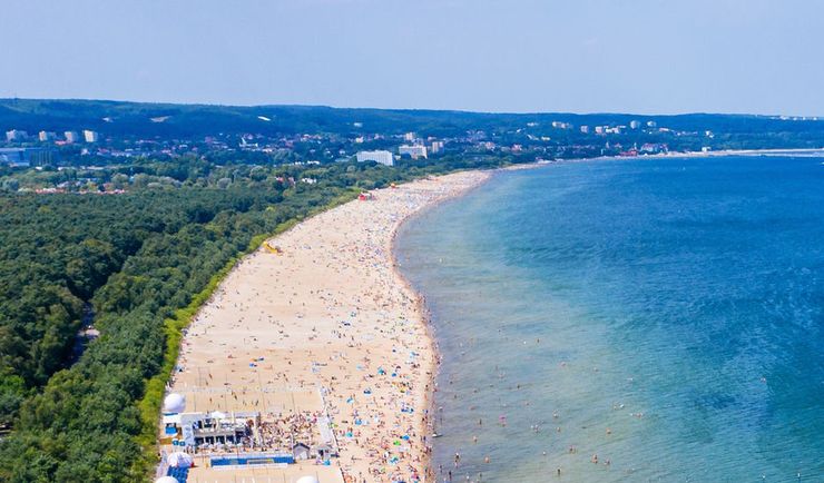 Wakacje 2021. Sinice w Zatoce Gdańskiej. Dwa kąpieliska zamknięte