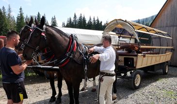 Tatry. Test hybrydowego wozu konnego