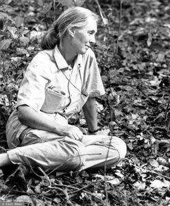 Jane Goodall nie żyje