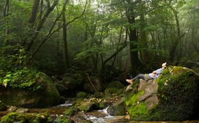 Polsat Viasat Nature HD Wspólna planeta