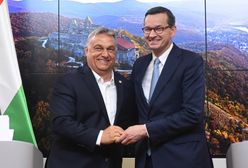 Premier zapowiada wznowienie współpracy z Węgrami. Prof. Dudek: Polaków to nie obchodzi