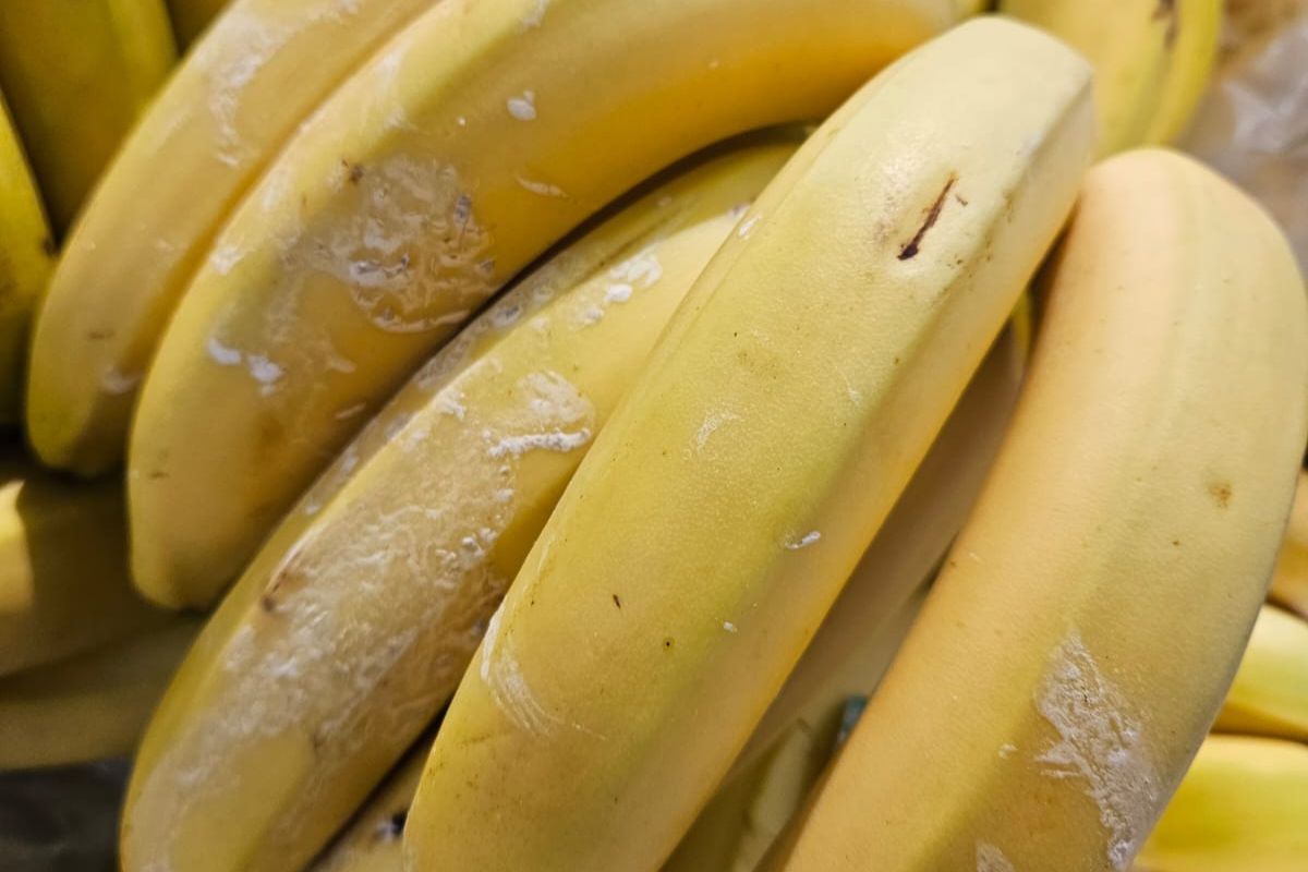 Oto banany, które na zdjęciu uwieczniła Katarzyna Bosacka. Niezbyt apetyczne, prawda?