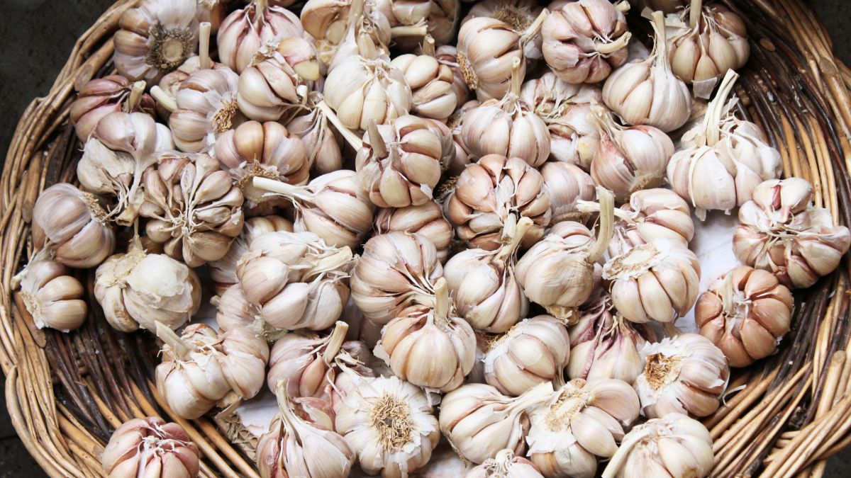 Czosnek przechowuj w suchym miejscu, z dala od słońca