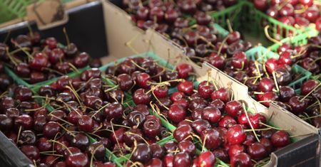 Polskie czereśnie pod lupą. Wykryto szereg zakazanych pestycydów