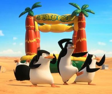 Nowy zwiastun "Pingwinów z Madagaskaru"