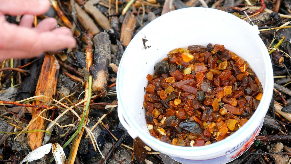 Polski rynek może zalać bursztyn wydobywany - często nielegalnie - w Rosji i na Ukrainie.
