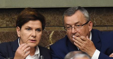 Nie będzie wycinki na terenach Lasów Państwowych. Ministerstwo odpowiada na publikację money.pl