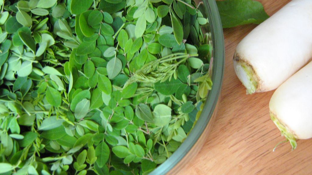 Gotowana moringa olejodajna z dodatkiem soli, odsączona