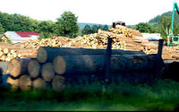 Biomasa. Jak wyglda rynek kotw opaowych?