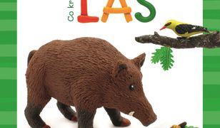 Plastelinkowa akademia. Co kryje las ?