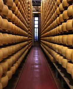 Zuchwała kradzież we Włoszech. Złodzieje wynieśli tony parmezanu