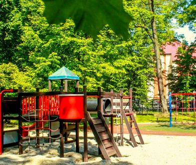 Gliwice. Chore drzewo, plac zabaw zamknięty