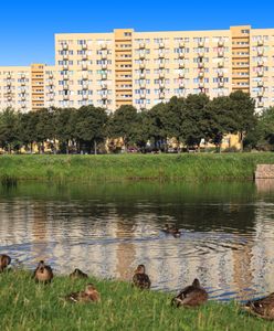 Акустична карта Варшави. Тихі та шумні райони