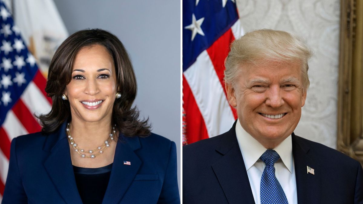 Wybory w USA. Sondaże przedwyborcze: