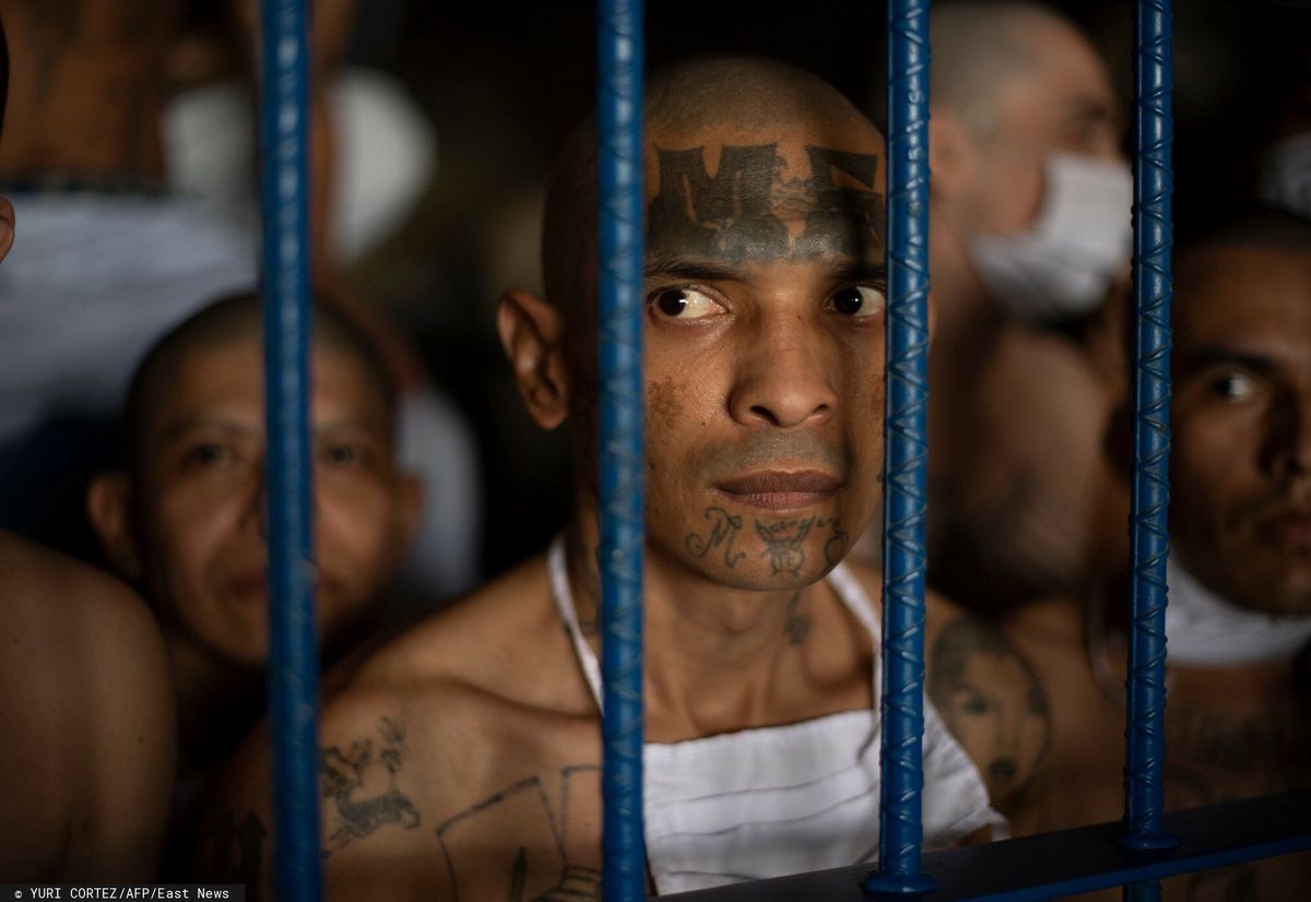 Członkowie gangu MS-13 w więzieniu w Salwadorze. Gang działa także w krajach Ameryki Środkowej 