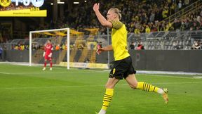 Wielki transfer Haalanda o krok. Dyrektor BVB rusza na negocjacje do giganta