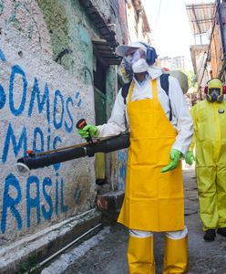 Koronawirus w Brazylii. Od początku epidemii zmarło już 80 tys. ludzi