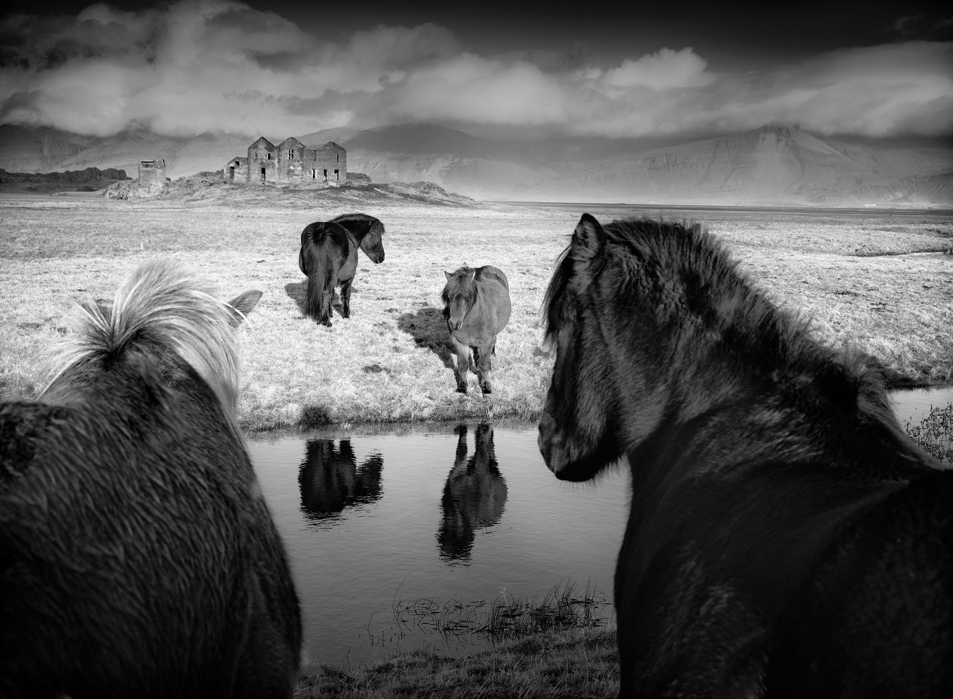 Piotr Leczkowski zwycięzcą polskiej edycji National Awards w Sony World Photography Awards 2019 82