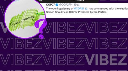 Co trzeba wiedzieć o COP27? Ważne wydarzenie na rzecz klimatu czy greenwashing?