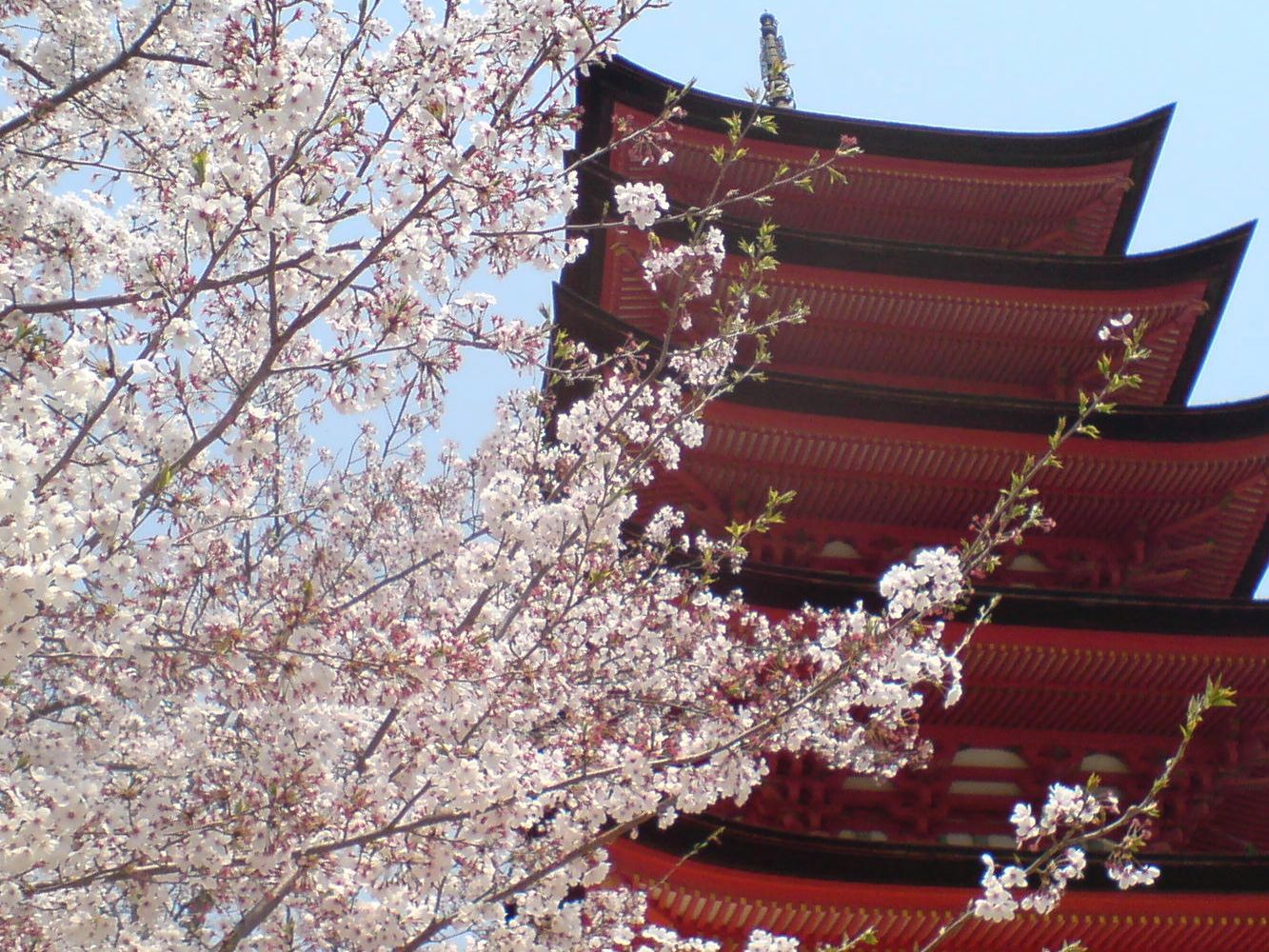 Xperia Z1 Compact vs stare sony ericssony - zaskakujące wyniki fotoporównania 10