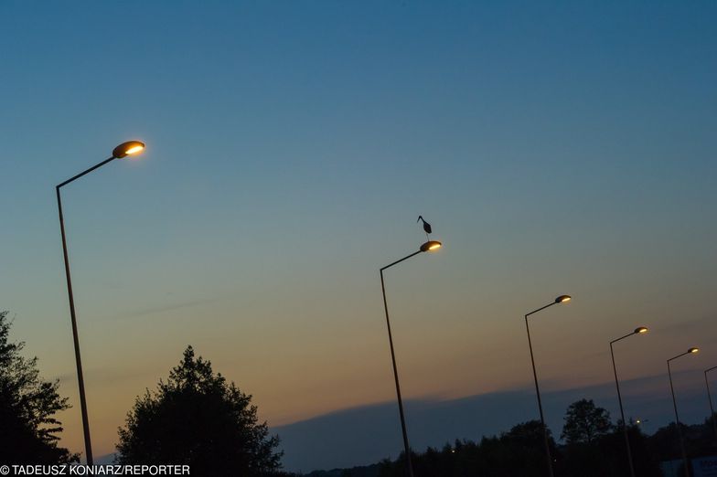 Niektóre gminy zmodernizowały lampy, zakładając oświetlenie LED.