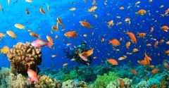 Marsa Alam - raj dla miłośników sportów wodnych