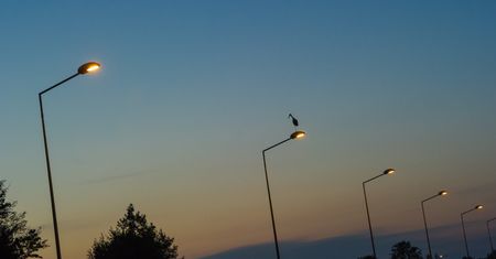 Samorządowcy grożą PGE podatkami. To odwet za opłaty za słupy oświetleniowe