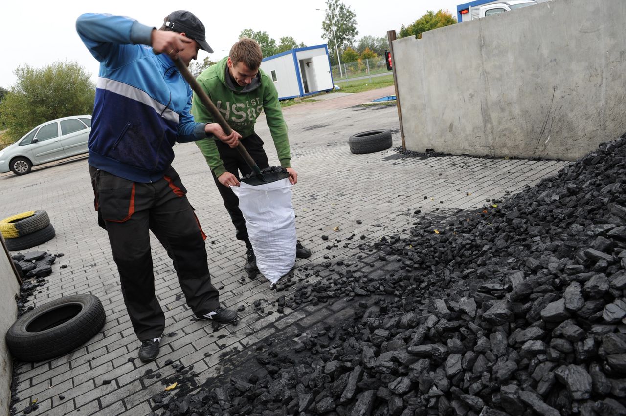 Zakupu węgla warto dokonać przed pierwszymi opadami - radzą pracownicy skupów