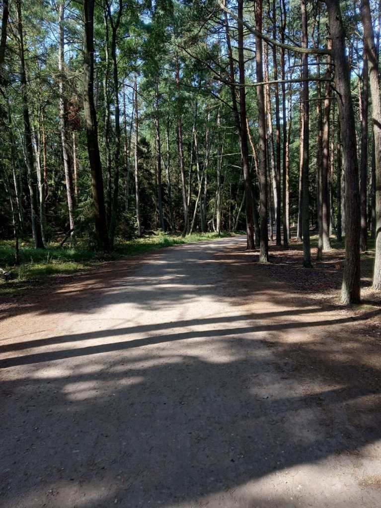 szlak na ruchome wydmy