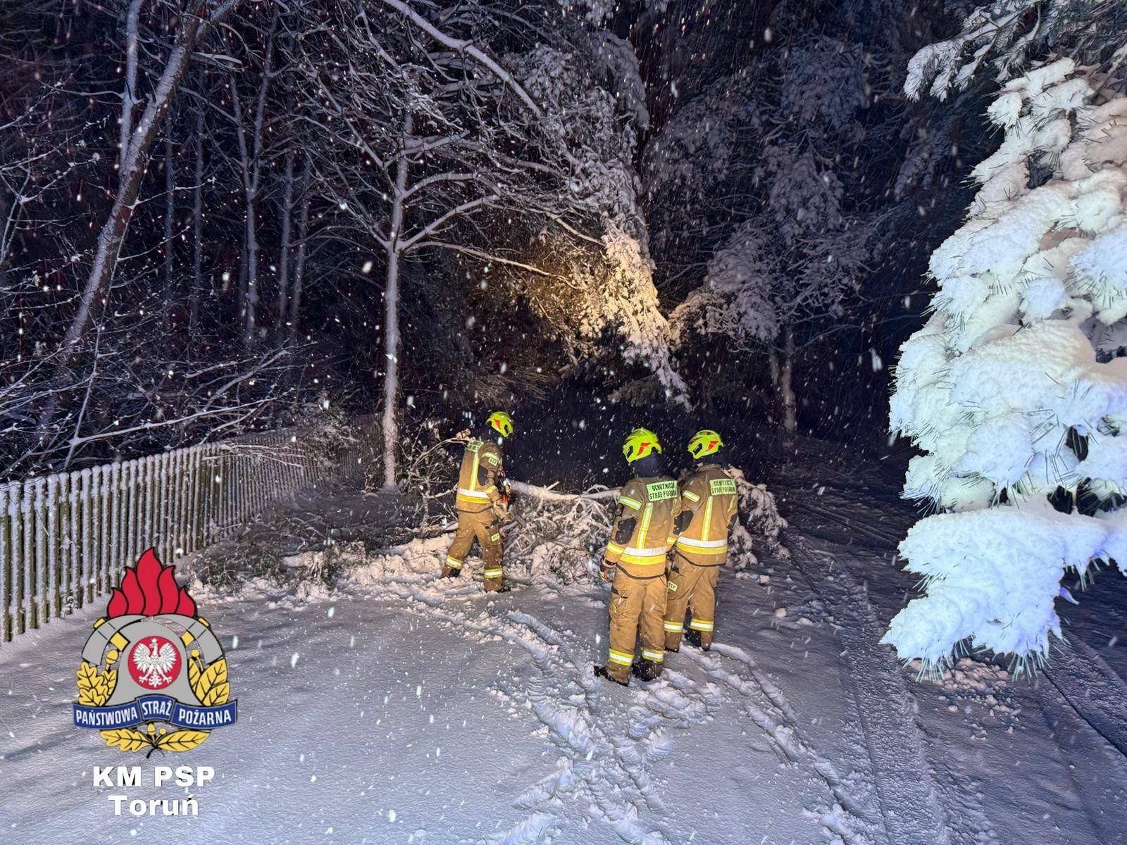 Atak zimy w Toruniu i okolicy