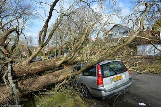Sztorm Katie pokrzyżował szyki brytyjskim handlowcom