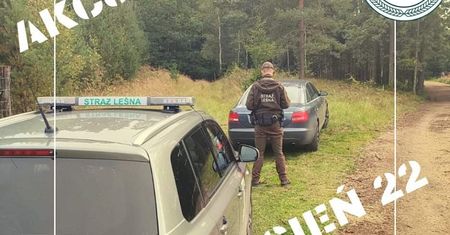Skradziony samochód odnaleziony w środku lasu