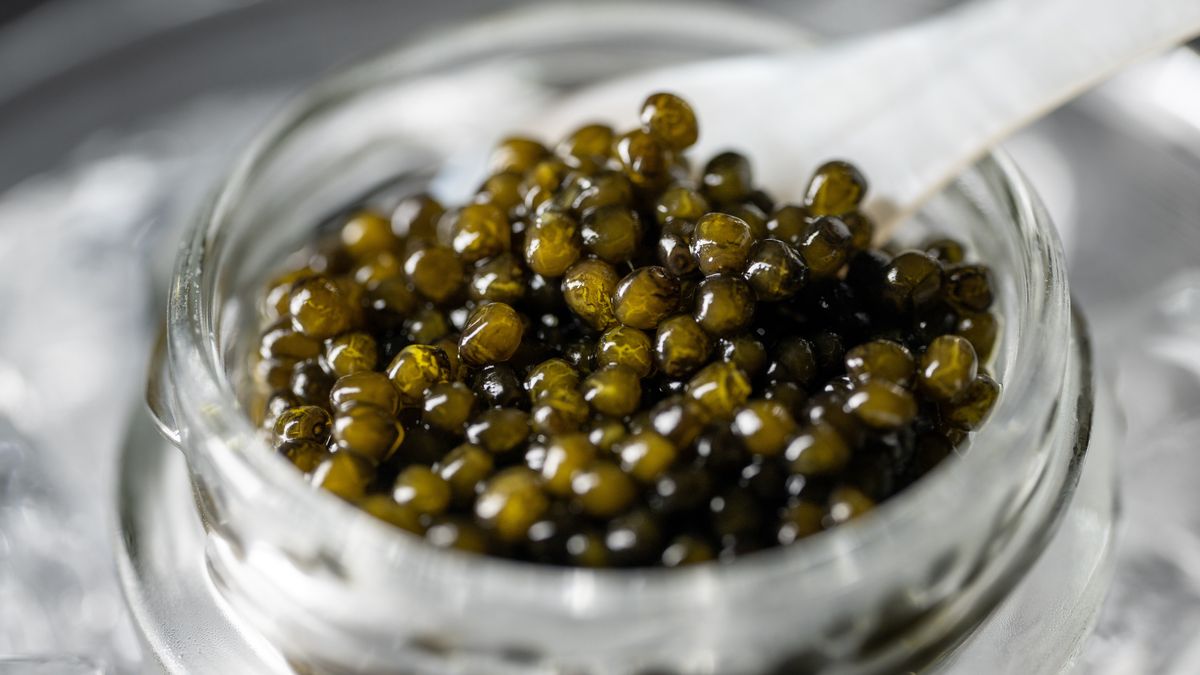 Kawior i jego charakterystyka