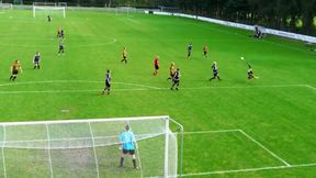 Bramka w stylu Ibrahimovicia. Przewrotka, piłka wpadła w samo „okienko”