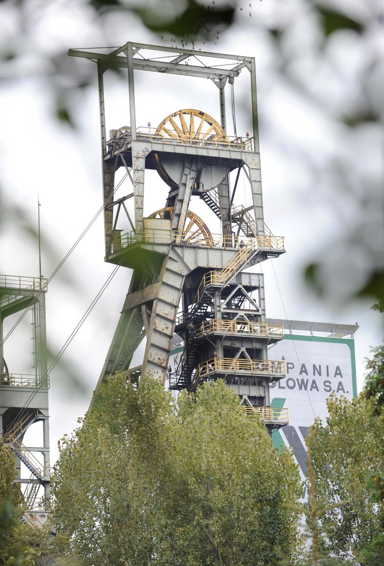 Darmowe autobusy w Rudzie Śląskiej. Na razie tylko na próbę