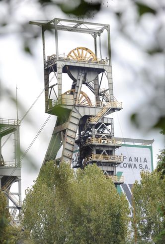 Darmowe autobusy w Rudzie Śląskiej. Na razie tylko na próbę