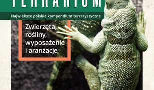 Terrarium. Zwierzęta, rośliny, wyposażenie, aranżacje